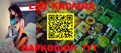 амф Кунгур