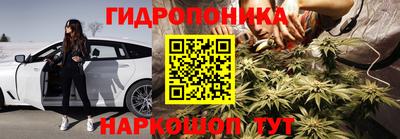 амф Кунгур