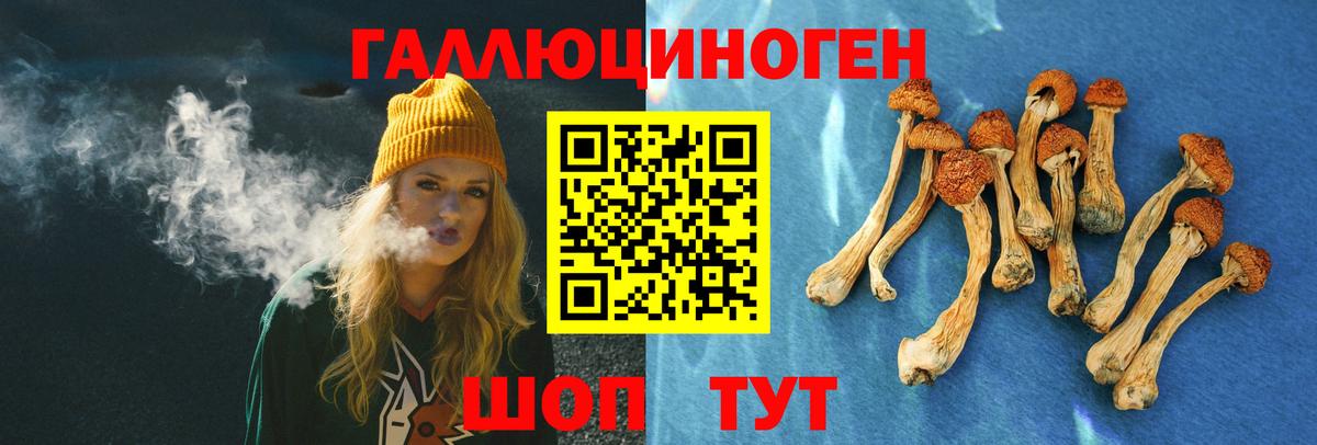 Заводоуковск  цена наркотик  Галлюциногенные грибы ЛСД  Вход с VPN  Псилоцибиновые грибы прущие грибы 